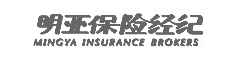 Mingya Insurance Economy